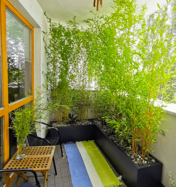 Teras dengan taman kecil berisi tanaman bambu